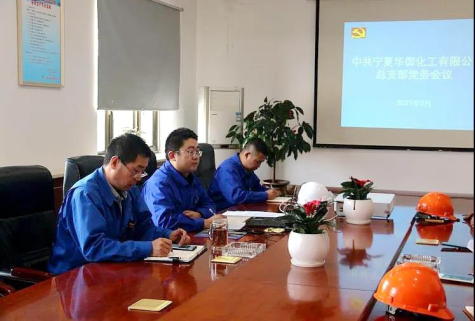 寧夏華御黨總支召開(kāi)2020年度組織生活會(huì)和開(kāi)展民主評(píng)議黨員工作