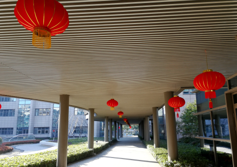 掛燈籠，貼春聯(lián)  蘇化科技園內(nèi)年味濃
